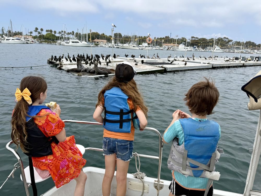 Kids in life vests watching sea lions from a Duffy boat